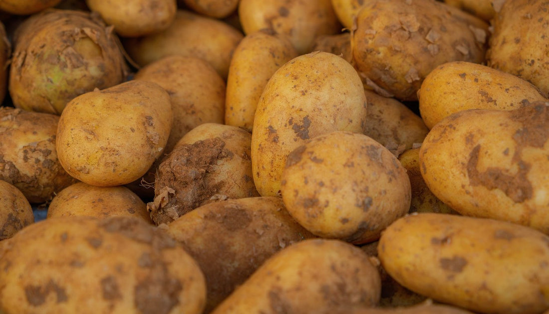 How to Store Potatoes So They Last for Months