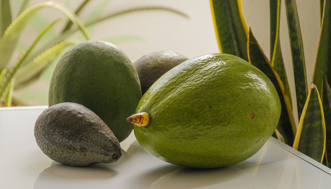 How to Store Avocados, Ripe, Unripe, and Cut