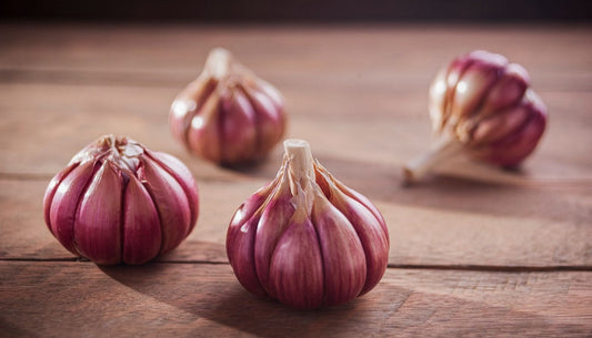 How to Store Garlic So It Lasts Months
