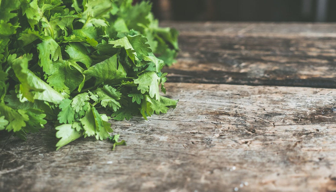 How to Chop Cilantro